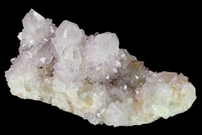 Cactus Quartz (Amethyst) Crystal Cluster - South Africa #137819